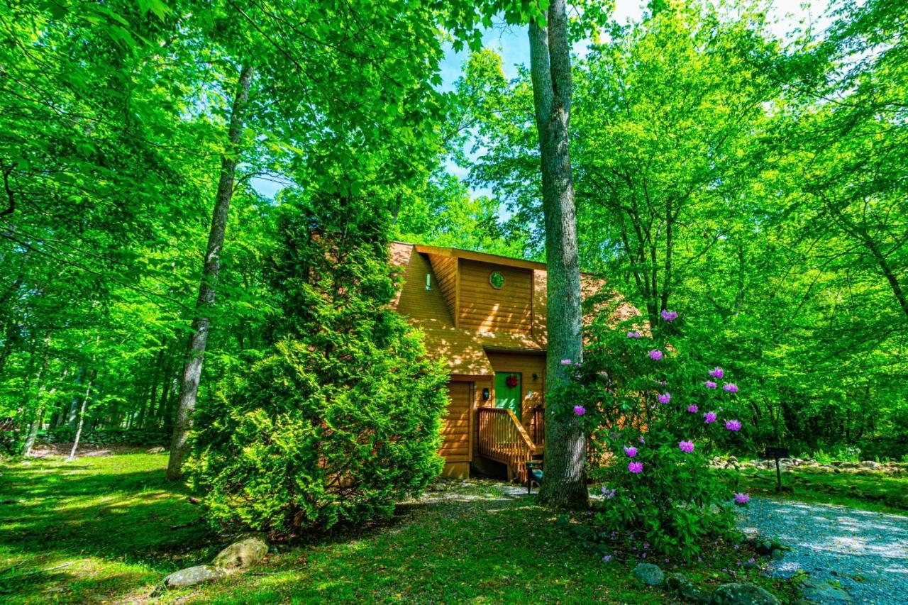 Bear Footin' On The Creek Villa Gatlinburg Ngoại thất bức ảnh