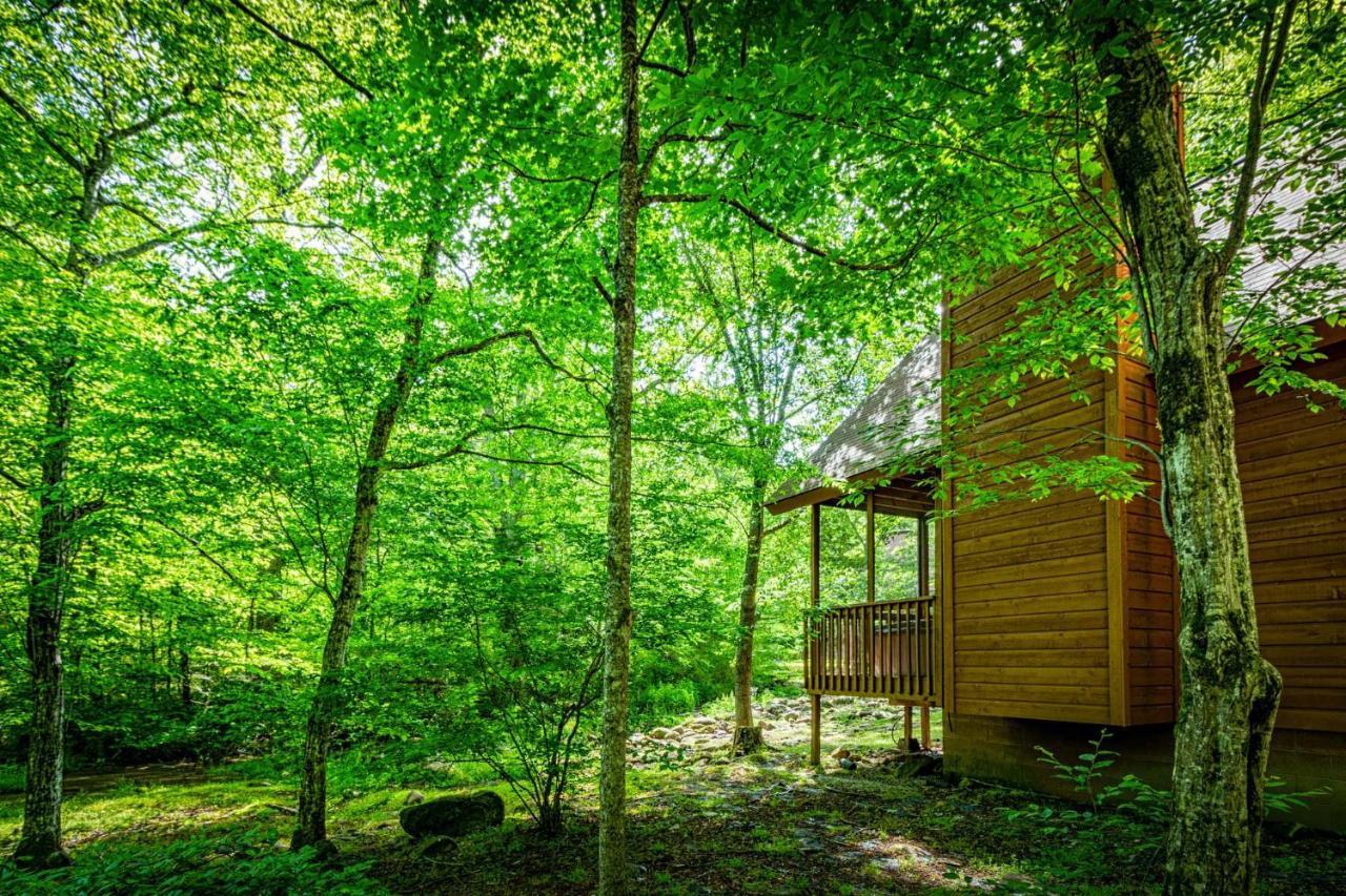 Bear Footin' On The Creek Villa Gatlinburg Ngoại thất bức ảnh