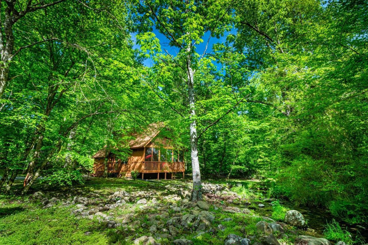 Bear Footin' On The Creek Villa Gatlinburg Ngoại thất bức ảnh